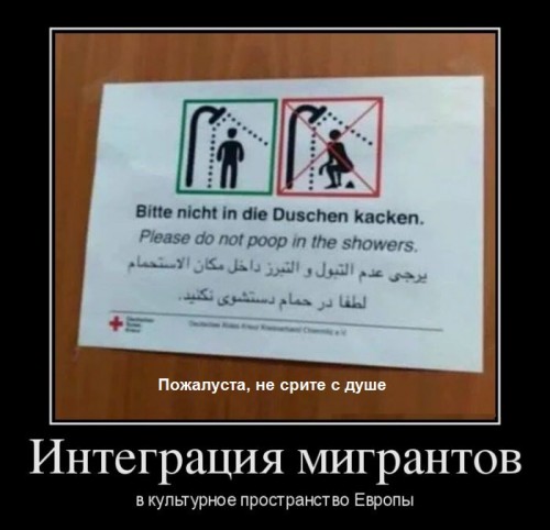 Мигрантам запрещается срать в душе